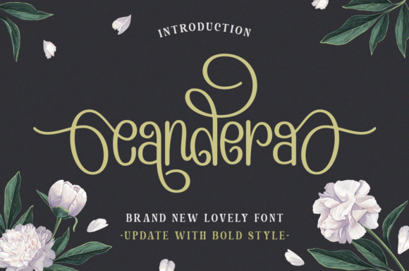 Candera: A Lovely and Chic Display Font for Editorial Projects