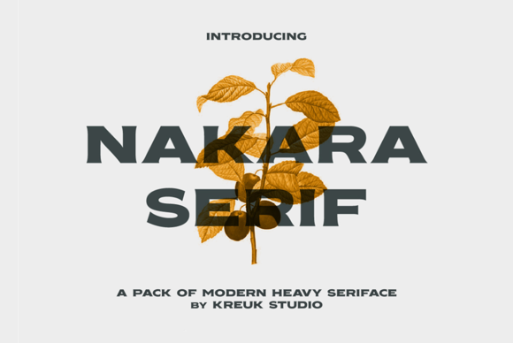 Nakara Serif: A Bold Display Font for Impactful Marketing