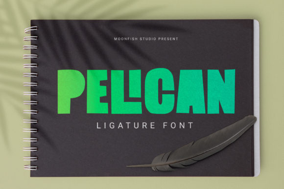 Pelican Bold Display Font for Handmade Branding & Products