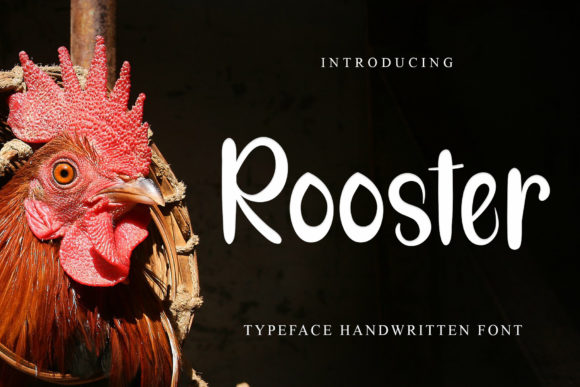 Rooster: A Playful Display Font for Creative Product Makers
